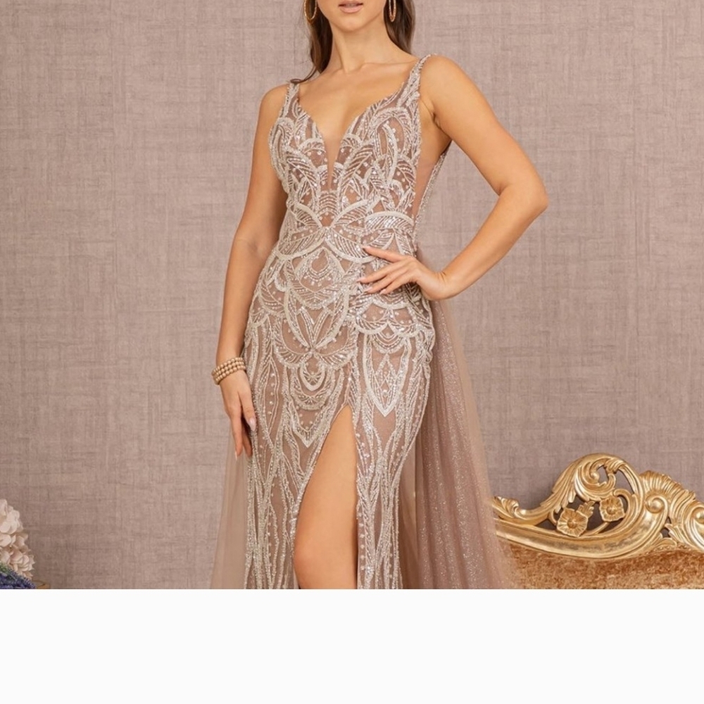Elegant Beige Evening Gown